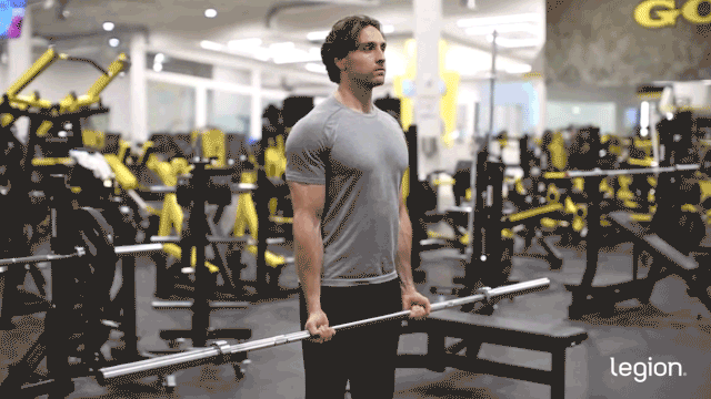 Barbell Curl gif