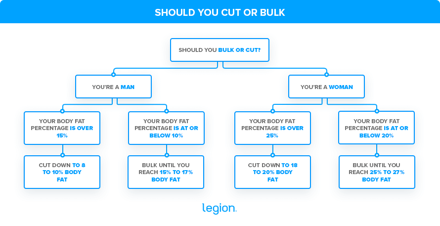 Should You Cut or Bulk (Graphic)