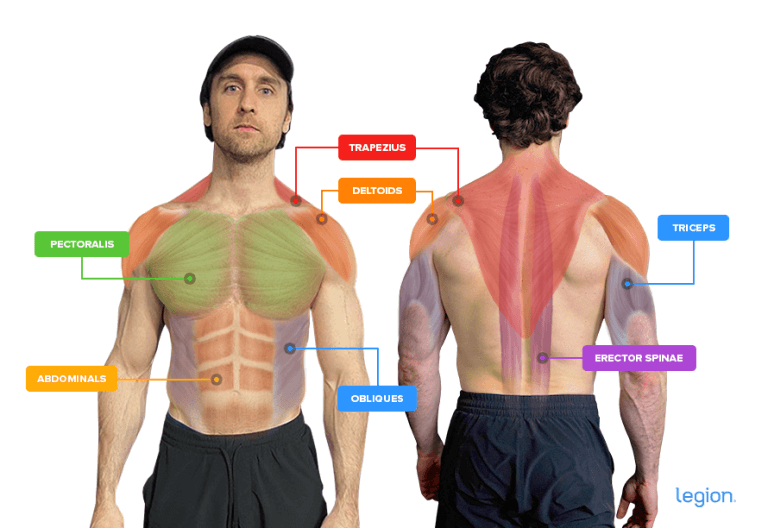Z Move Exercise Z Press Guide for Upper Body Size & Stability | Legion
