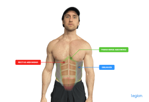 3 Best Ab Exercises and Workouts for a Defined Six Pack | Legion
