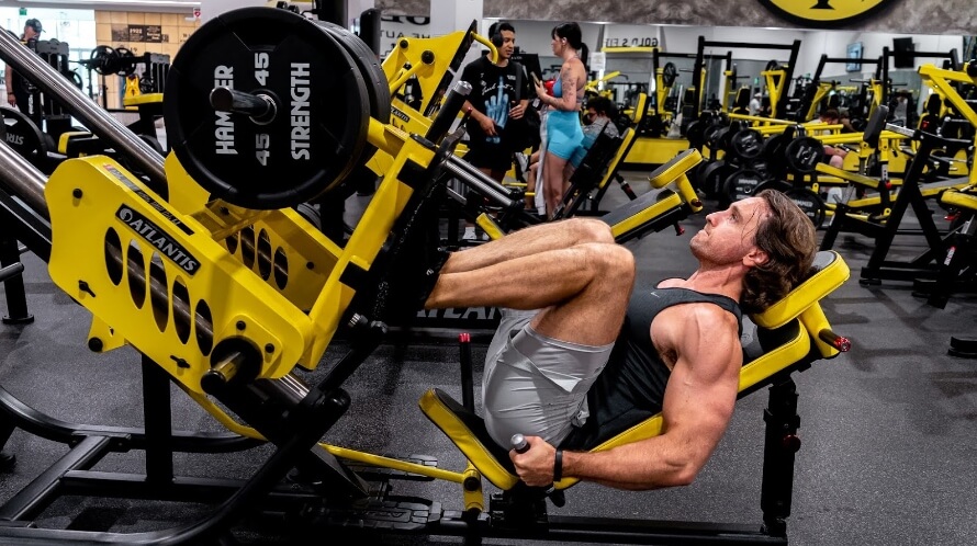 Leg Press Muscle Groups