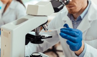 Does Taurine Fuel Blood Cancer Growth?
