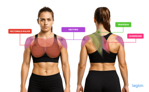 What muscles should you train to lift sagging breasts