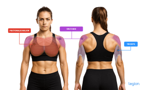 Push Day Muscles Worked (Female)